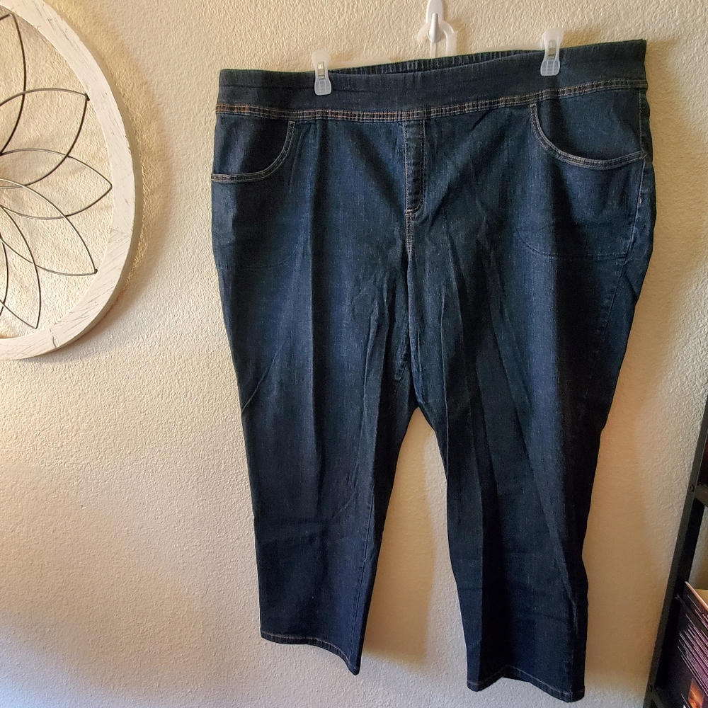 Terra & Sky  3X/24w-26w pull on jeans